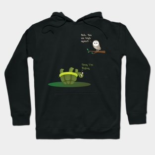 Funny turtle and owl Hoodie